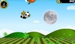 熊猫飞飞最新爆料,娱乐圈最新爆料大揭秘！